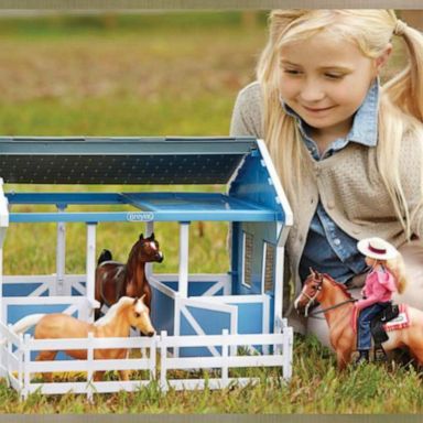 VIDEO: ‘GMA’ small business deal on model horses from Breyer