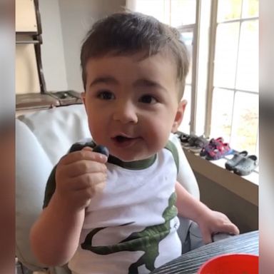 VIDEO: Little boy loves big blueberries 