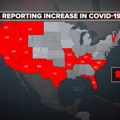 VIDEO: New coronavirus hotspots emerge as state cases spike amid reopening