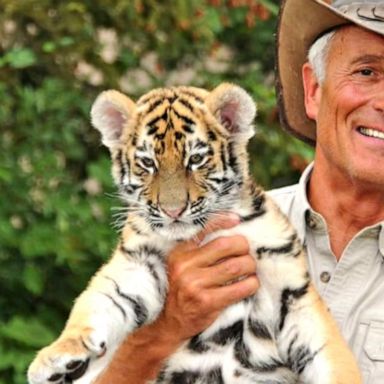 VIDEO: Columbus Zoo’s Jack Hanna retires after 42 years