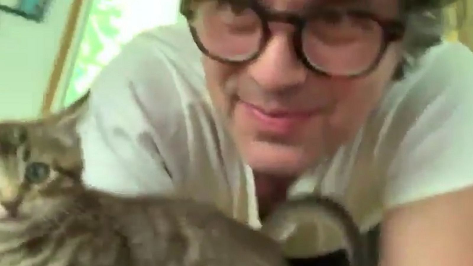 VIDEO: Mark Ruffalo playing with his new kitten is the cutest thing you’ll see today