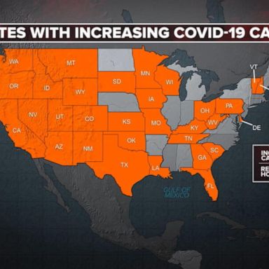 VIDEO: More than 30 states report increases in coronavirus cases