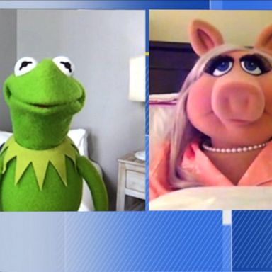 VIDEO: Kermit the Frog and Miss Piggy talk about their show ‘Muppets Now’ on Disney+