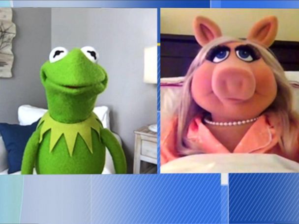 The Moi by Miss Piggy QVC Fashion Line Sneak Peek: You HAVE to See This