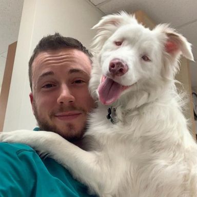 VIDEO: Blind and deaf dog is so loved by transgender dad, ‘I kind of see herself in me’ 