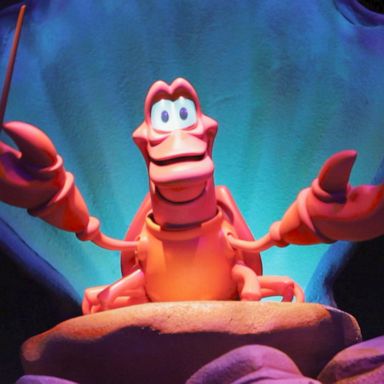 VIDEO: Take a virtual ride on Disney's 'The Little Mermaid: Ariel's Undersea Adventure'e love this — what's that word again? Riiiiiide!