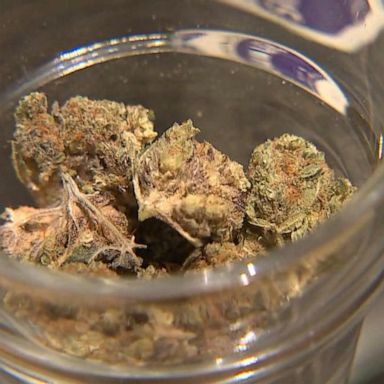 VIDEO: Marijuana use linked to increased risk of heart trouble