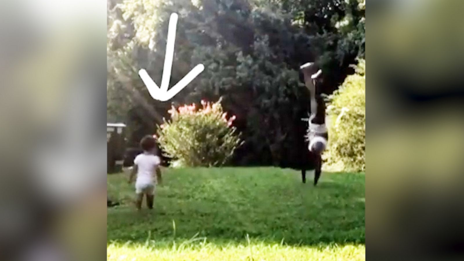 VIDEO: This tumbling toddler is the cutest thing you’ll see today