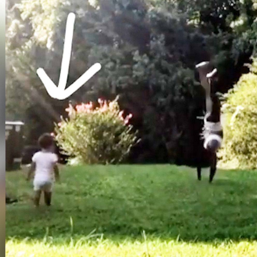 VIDEO: This tumbling toddler is the cutest thing you’ll see today 
