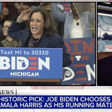 VIDEO: Kamala Harris VP pick gave DNC chairman goosebumps