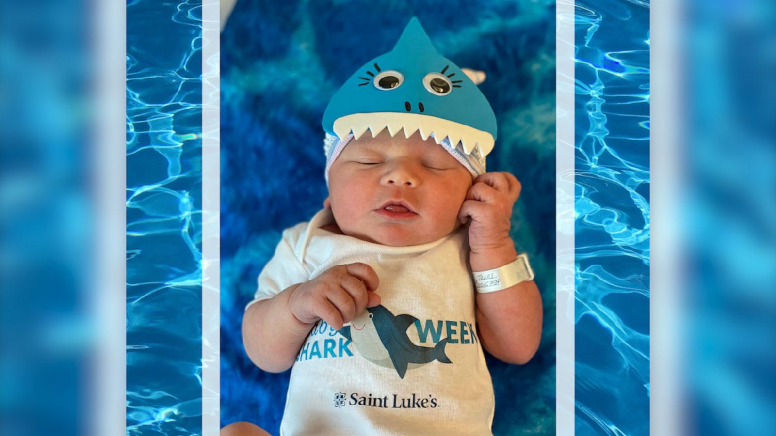 VIDEO: Hospital celebrates newborns with adorable baby shark photoshoot