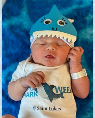 Hospital Celebrates Newborns With Adorable Baby Shark Photoshoot Gma