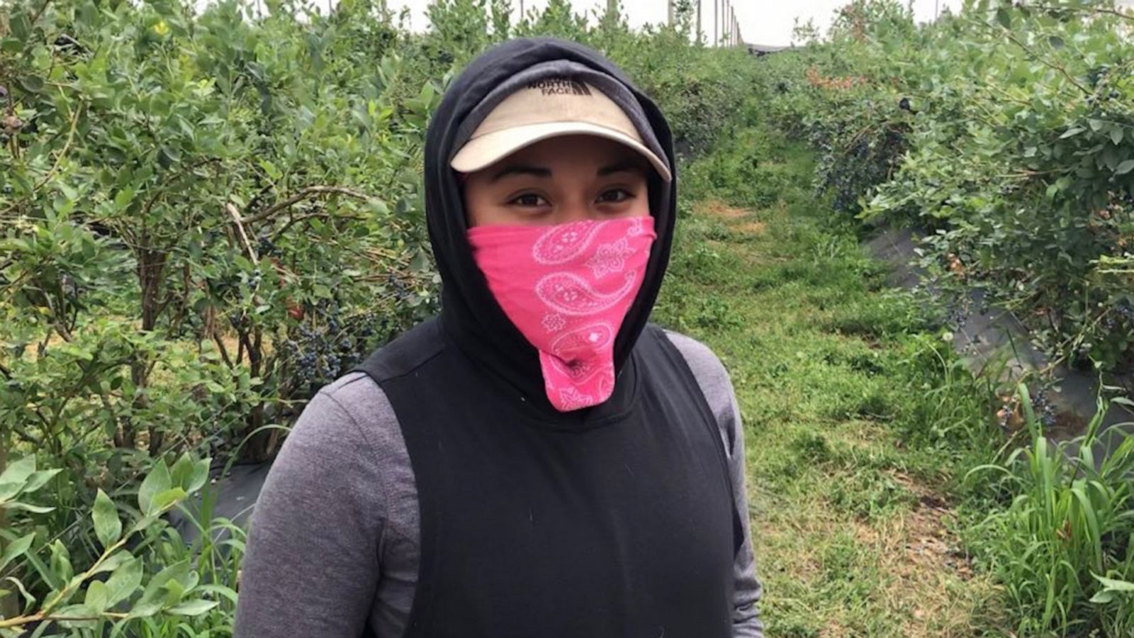 VIDEO: Stanford grad’s viral tweet highlights pay disparity for farmworkers