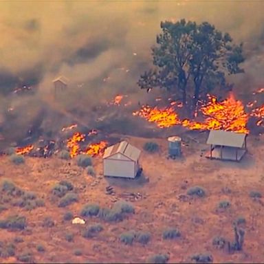 VIDEO: California Lake fire gains strength and is burning out of control