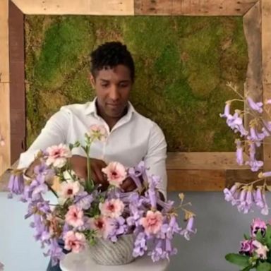 VIDEO: 'The Big Flower Fight' judge shares tips for taking care of plants at home