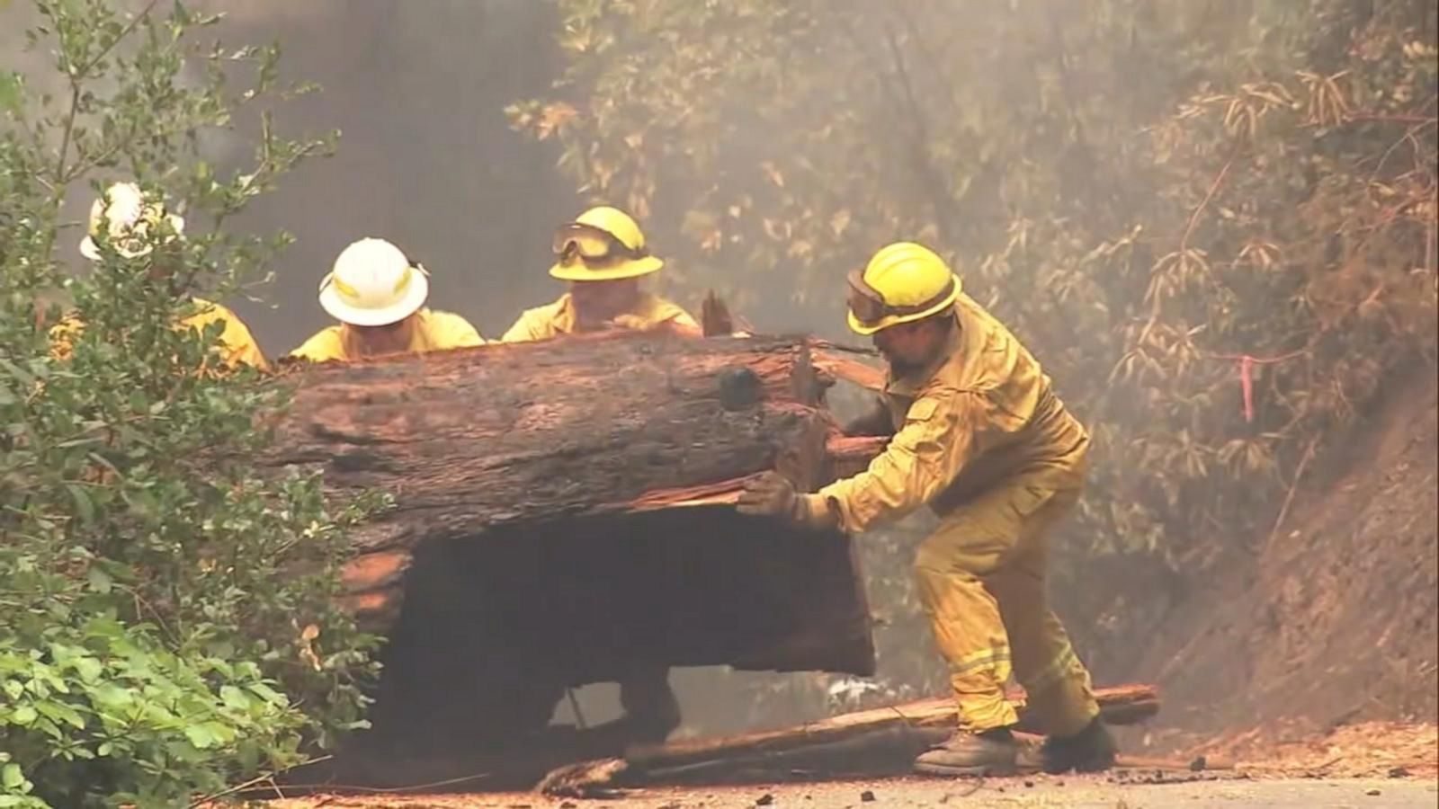 VIDEO: Dangerous wildfires reach new milestone: 1 million acres burned