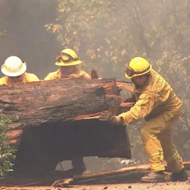 VIDEO: Dangerous wildfires reach new milestone: 1 million acres burned