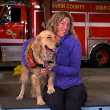 VIDEO: Golden retriever helps comfort brave firefighters