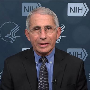 VIDEO: Dr. Fauci weighs in on 6M US coronavirus cases, deaths and comorbidity