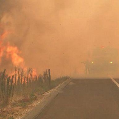 VIDEO: Multiple wildfires continue to burn out of control along the West Coast