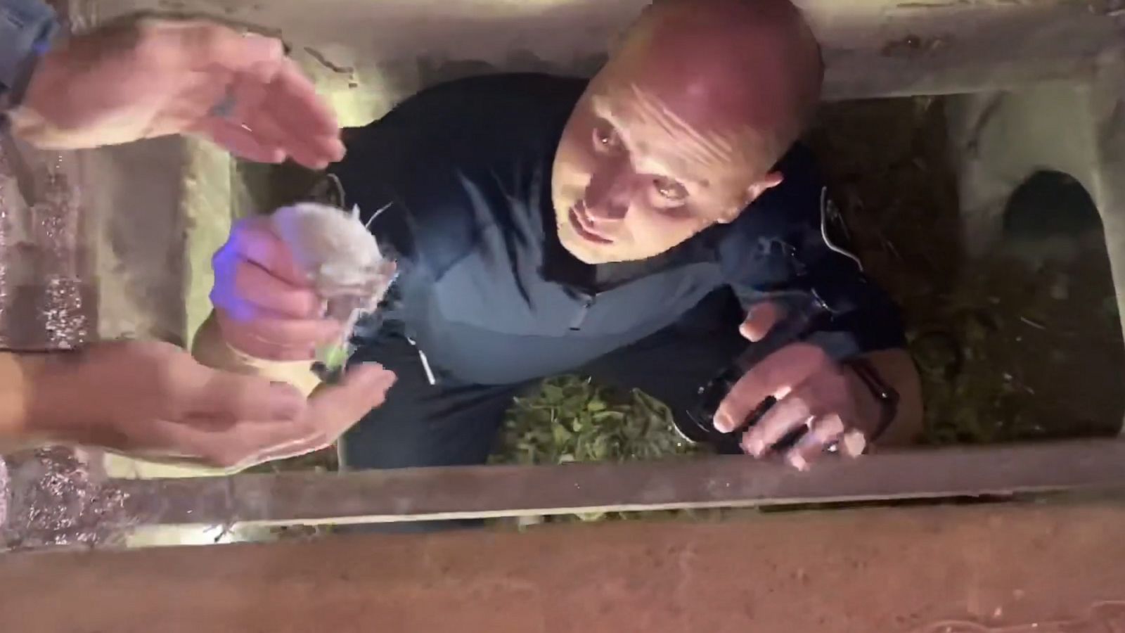 VIDEO: Police and firefighters team up to rescue two tiny kittens from storm drain
