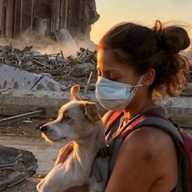 VIDEO: Pet parents reunite with their fur babies after massive explosion separated them 