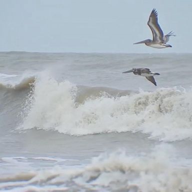 VIDEO: Tropical Storm Beta forecasted to hit Texas