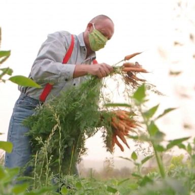 VIDEO: How 1 program in Seattle brings farm-fresh food to those in need