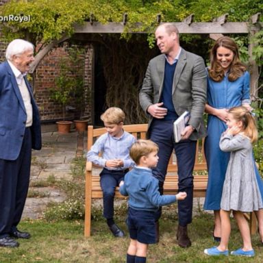 VIDEO: New photos released of the Royals