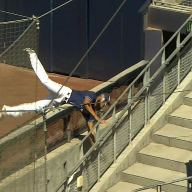 VIDEO: MLB playoffs see fans and 1 amazing catch