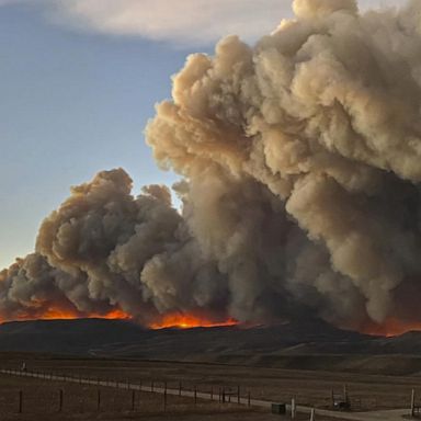 VIDEO: Wildfires wreak havoc in Colorado and California