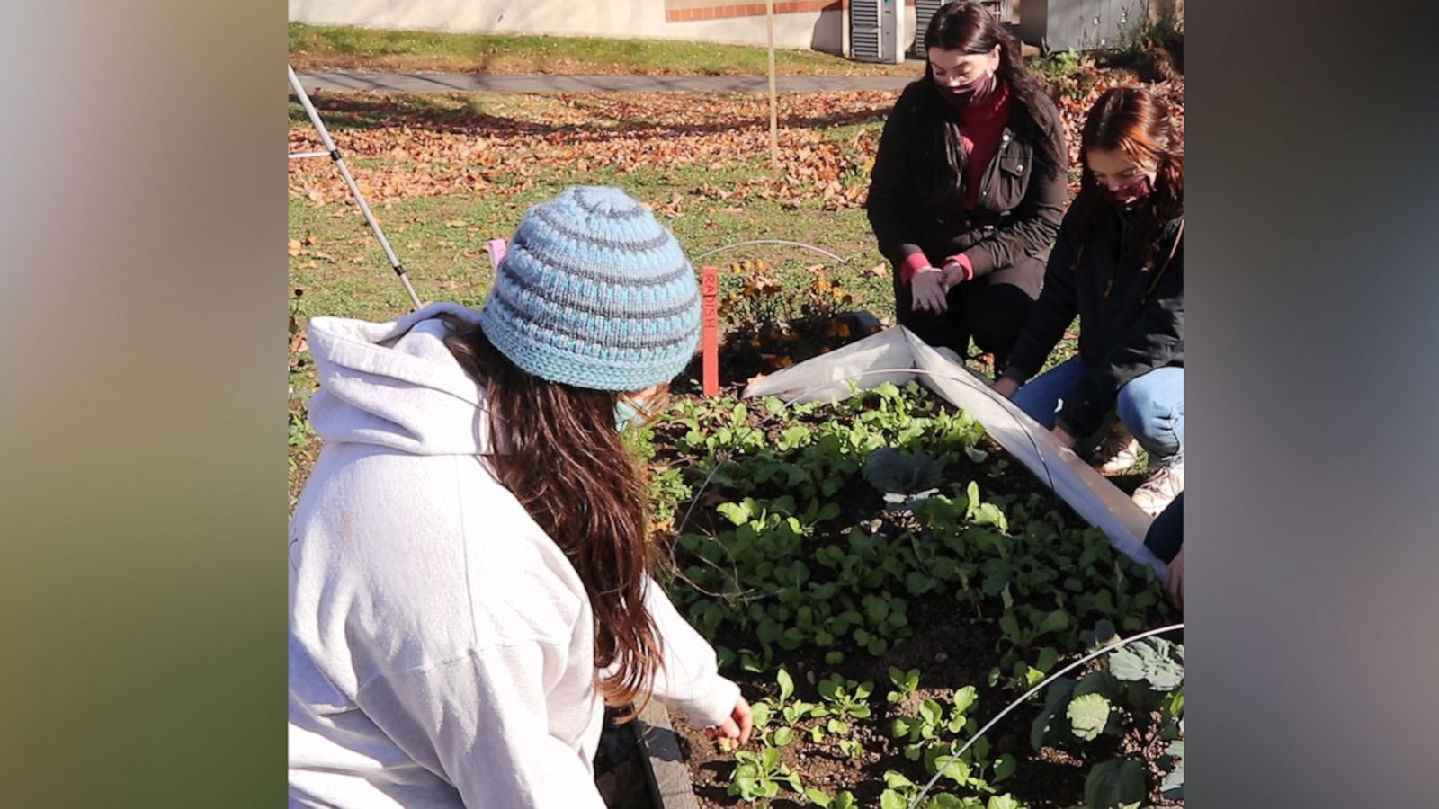 VIDEO: These college students grew a garden to help fight food insecurity in their community