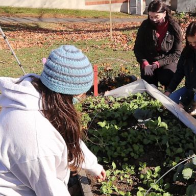 VIDEO: These college students grew a garden to help fight food insecurity in their community