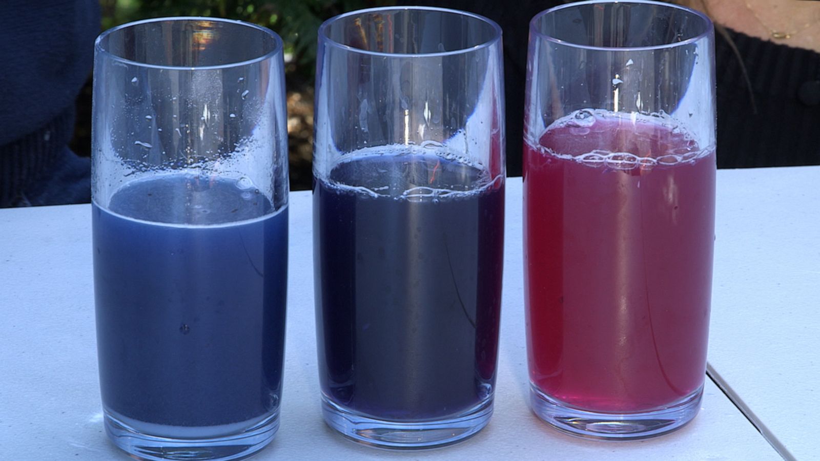 VIDEO: Ginger Zee shows us the wonders of ‘Cabbage Chemistry’