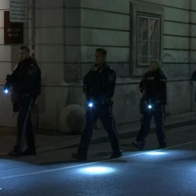 VIDEO: Vienna reels after apparent terror attack that left at least 4 dead