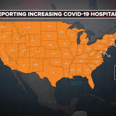 VIDEO: CDC warns Americans not to travel for Thanksgiving amid COVID surge