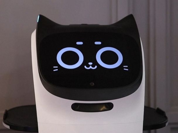 https://s.abcnews.com/images/GMA/201123_gma_digital_cat_robot_hpMain_4x3_608.jpg