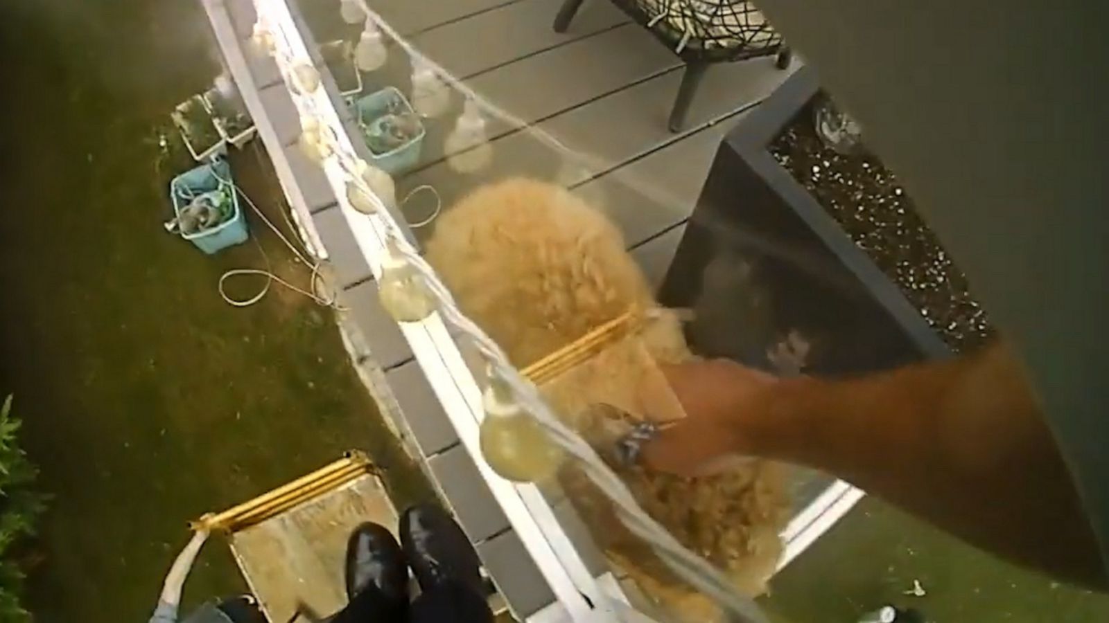 VIDEO: Police officer's quick thinking saves a dog from a house fire