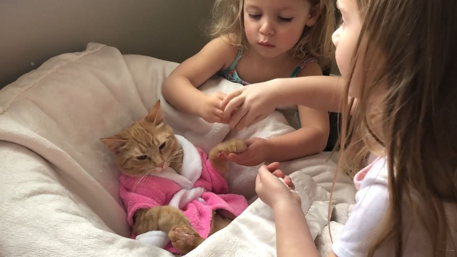 VIDEO: Sisters treat cat to ‘peticure’ spa day