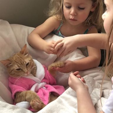 VIDEO: Sisters treat cat to ‘peticure’ spa day