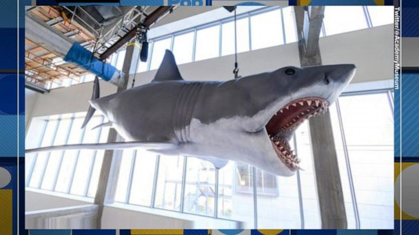 The Academy Museum of Motion Pictures installed shark used in