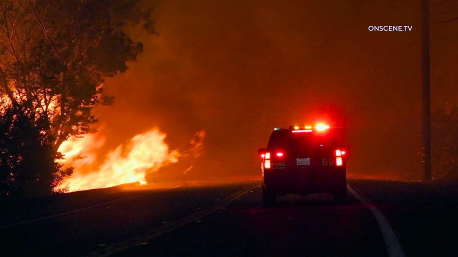 VIDEO: California wildfires force mandatory evacuations