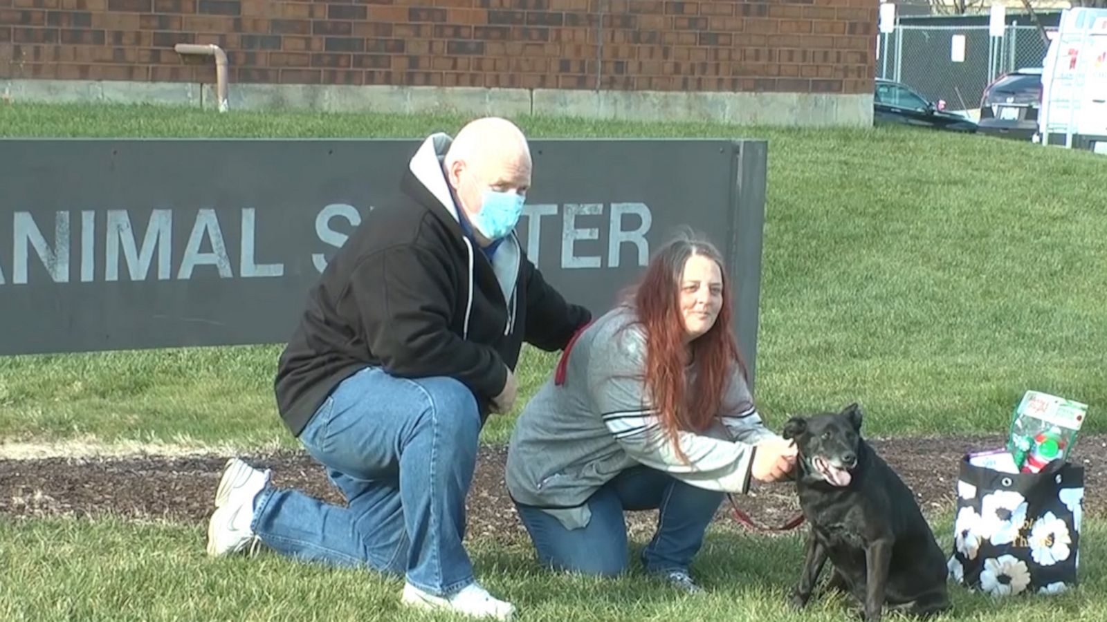 VIDEO: Dog missing for 3 years is reunited with owners