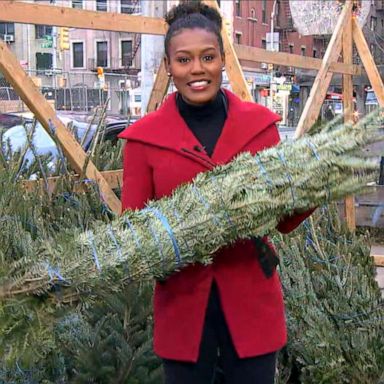 VIDEO: Christmas trees in short supply amid coronavirus pandemic