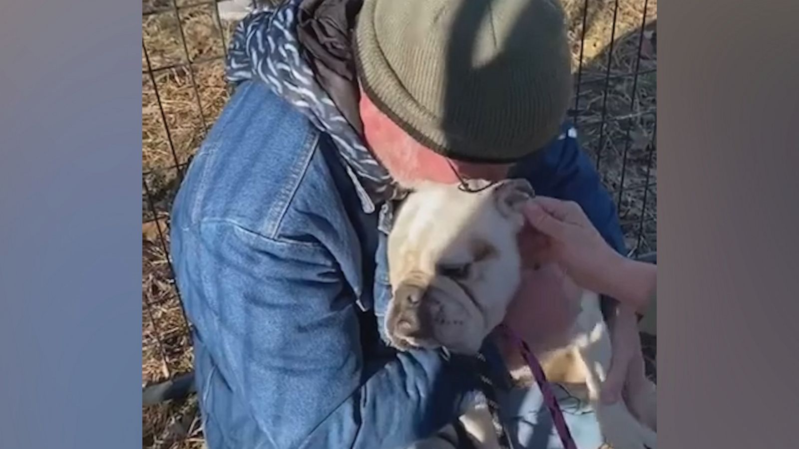 VIDEO: Dog reunites with owner after lost in the wild for two months