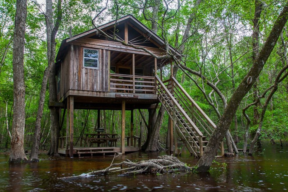 PHOTO: Edisto River Treehouses. 