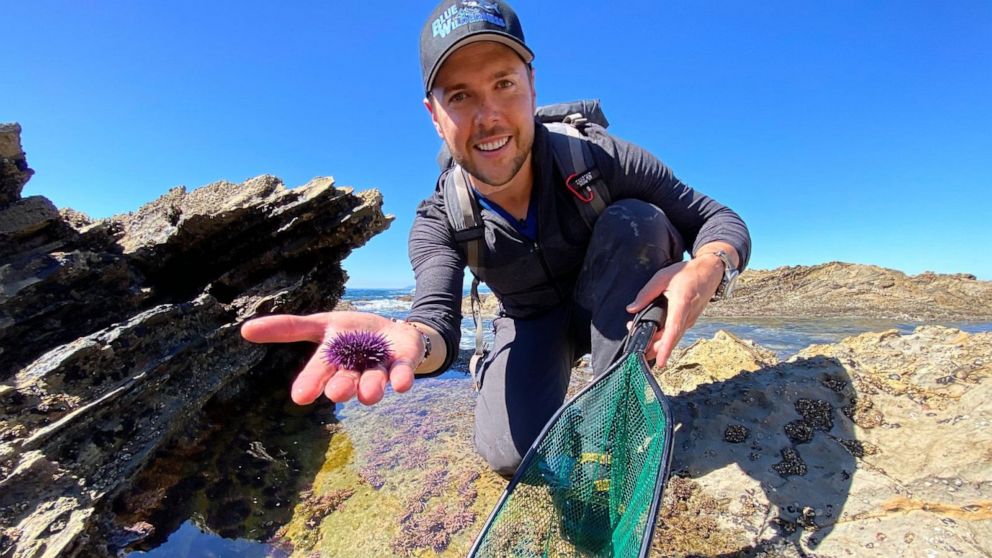 PHOTO: How to make a tide pool this summer is one of the videos on the Brave Wilderness YouTube channel. 