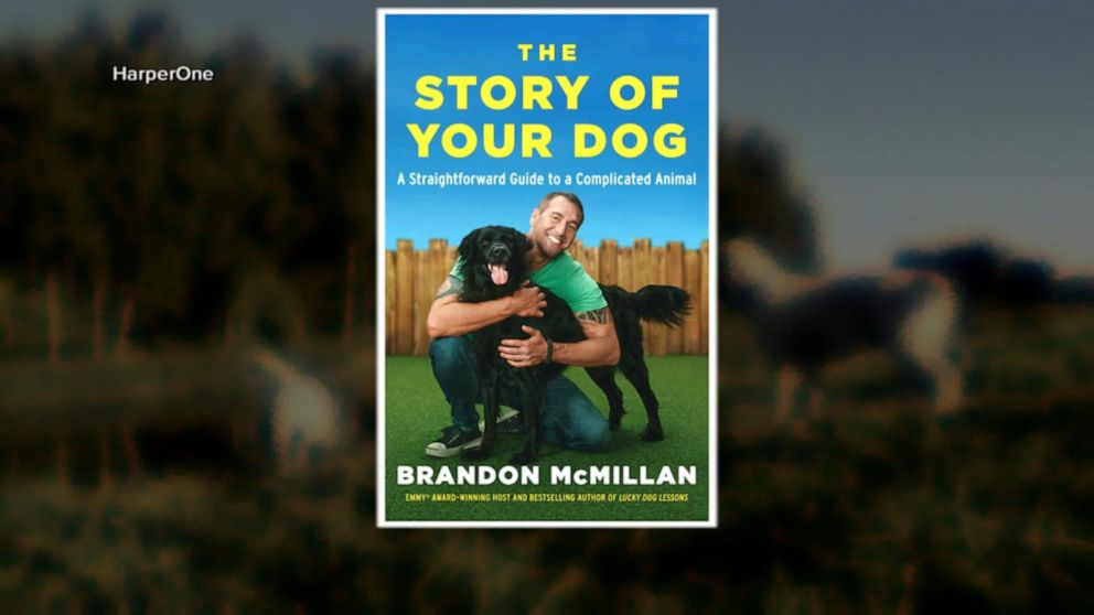 THE STORY OF YOUR DOG: A Straightforward Guide to a Complicated Animal 