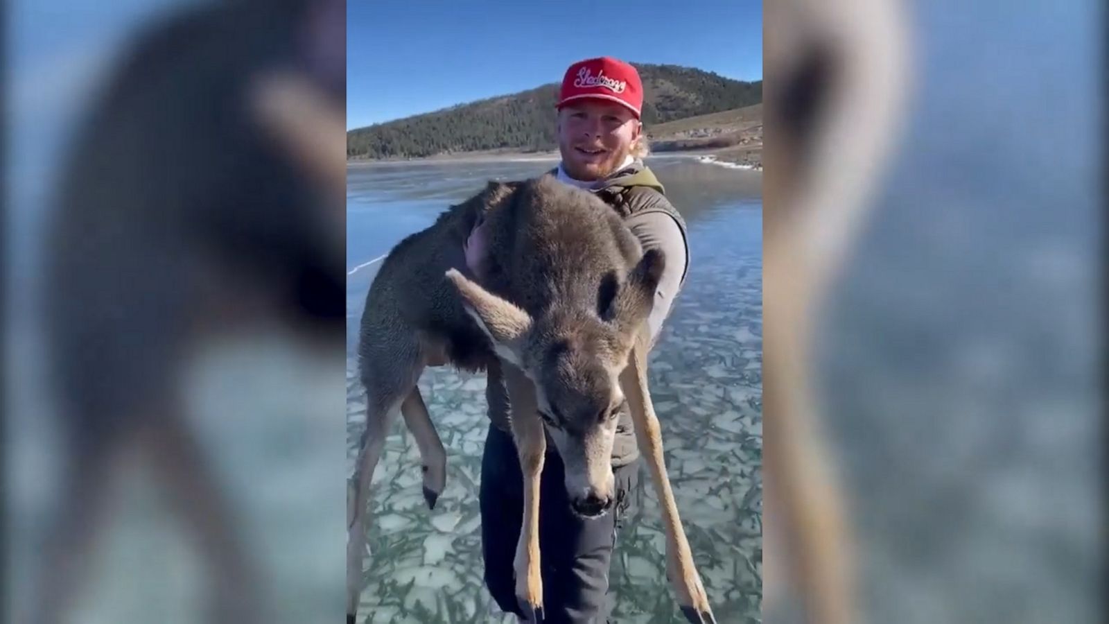 VIDEO: Two friends saving a fawn stranded on the ice is the best thing you’ll see all-day