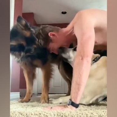 VIDEO: These dogs interrupting their owner’s workout confirms they are the best workout pals 